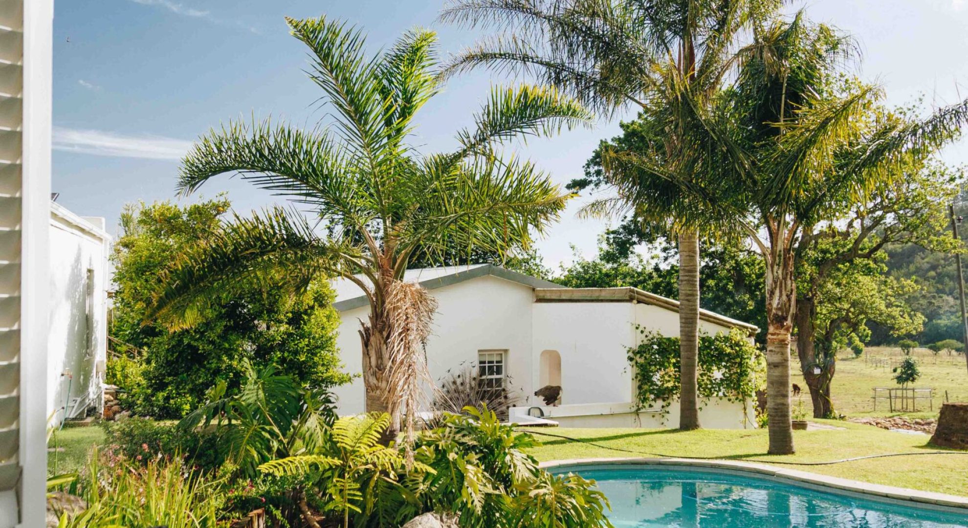 palm-cottage-22